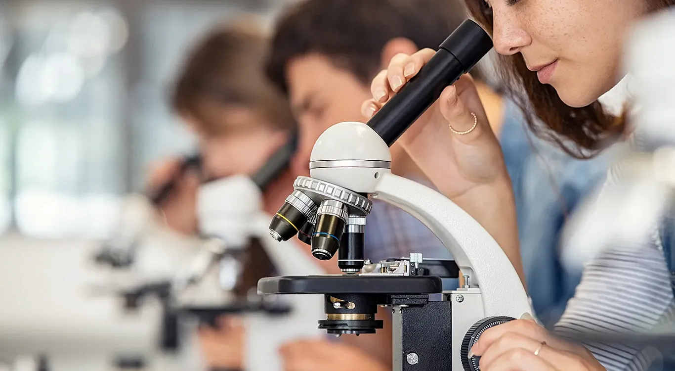 RedEverywhere Curriculum intent