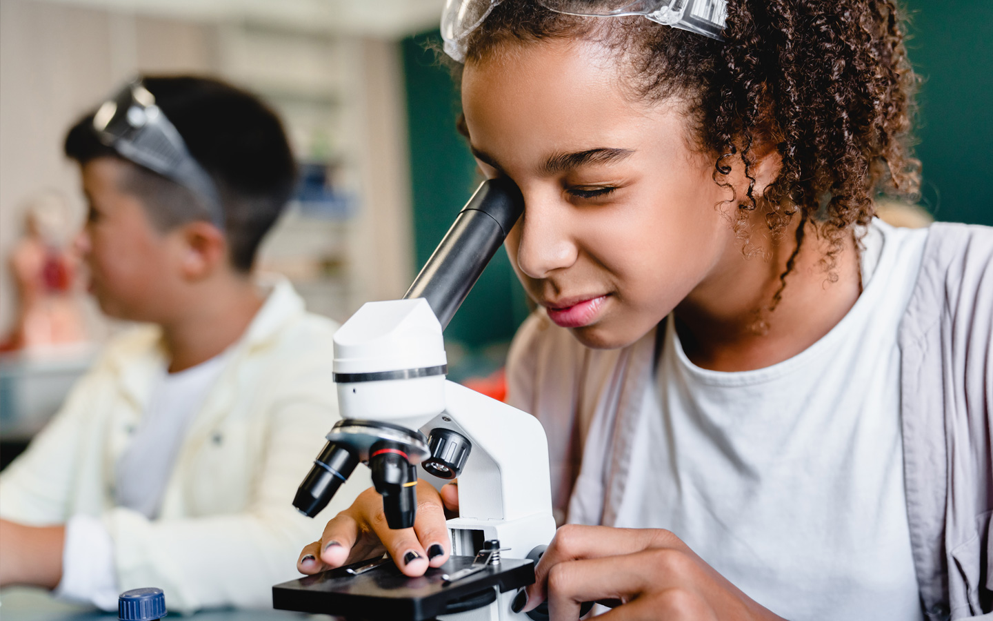 Education Consultancy